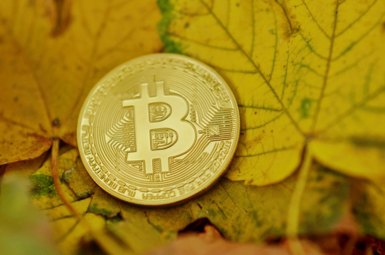 普京宣布俄乌战争复活节停火30小时！比特币涨破8.5万美元